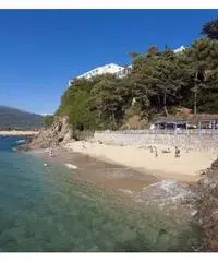 Camera Hotel a Propriano ( Corsica ) Camera Hotel a Propriano ( Corsica )