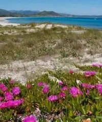 Vacanze Sardegna. Camera doppia Tramonto Vacanze Sardegna. Camera doppia Tramonto