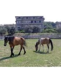 Pasqua e pasquetta a contatto con natura e animali