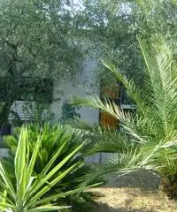 Brevi e piacevoli soggiorni in villetta indipendente