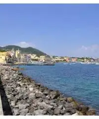 Bel monolocale a Ischia last minute Bel monolocale a Ischia last minute