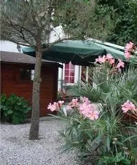 Maggio o giugno 2016 appin villa con uso del fresco giardino Maggio o giugno 2016 appin villa con uso del fresco giardino