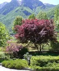 BILOCALE IN VALSASSINA (LECCO)TRA MONTAGNE E LAGO