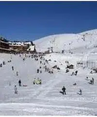 Settimana bianca 500 Settimana bianca 500