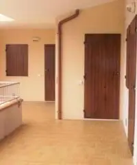 Riviera del Conero Riviera del Conero