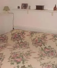 Riviera del Conero Riviera del Conero