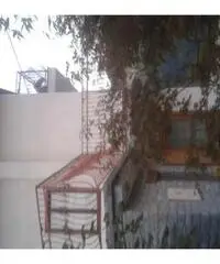 Offro casa montagna Offro casa montagna