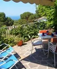ELBA LAST MINUTE 11/18 Giugno, appartamento 4px 200€ ELBA LAST MINUTE 11/18 Giugno, appartamento 4px 200€