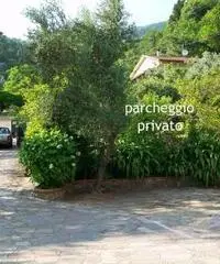 Casa in verdeggiante vallata Casa in verdeggiante vallata