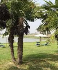 Weekend 25 Aprile in Agriturismo Weekend 25 Aprile in Agriturismo