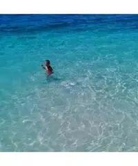 Appartamenti vista mare Appartamenti vista mare