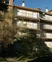 Affittasi appartamento Lignano Pineta Affittasi appartamento Lignano Pineta