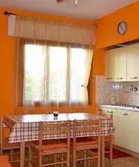 Affittasi appartamento Lignano Pineta Affittasi appartamento Lignano Pineta