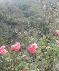 Appartamento a Hone con bellissima vista sul Forte di bard Appartamento a Hone con bellissima vista sul Forte di bard