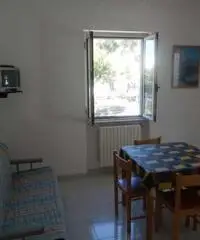 Vieste affitto mono, bilo e trilocali prezzi modici Vieste affitto mono, bilo e trilocali prezzi modici