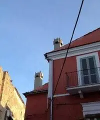 Prenota la tua vacanza a Vico del Gargano Prenota la tua vacanza a Vico del Gargano