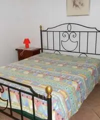 Trilocale Campo nell'Elba