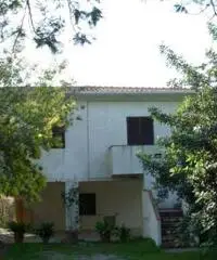 Casa indipendente con 2 alloggi - Isola d'Elba Casa indipendente con 2 alloggi - Isola d'Elba