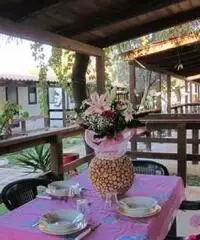 Vacanze Economiche a Capo Rizzuto in Bungalow Vacanze Economiche a Capo Rizzuto in Bungalow