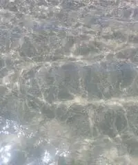 Vacanza indimenticabile caporizzuto Vacanza indimenticabile caporizzuto