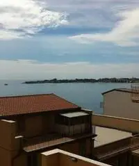 Luxury house Luxury house