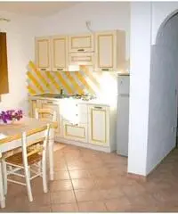 Vacanze in Sardegna Vacanze in Sardegna