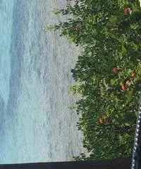 Vacanze in Sardegna Vacanze in Sardegna