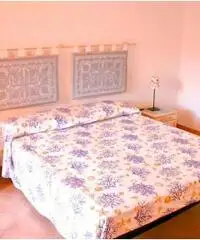 Vacanze in Sardegna Vacanze in Sardegna