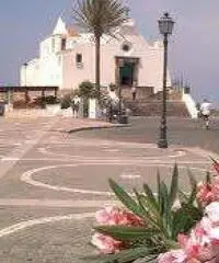 Last Minute SETTEMBRE a FORIO D'ISCHIA Last Minute SETTEMBRE a FORIO D'ISCHIA