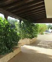 VILLETTA A TORRE SUDA A4Km DA GALLIPOLI 6/8P VILLETTA A TORRE SUDA A4Km DA GALLIPOLI 6/8P