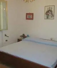 VILLETTA A TORRE SUDA A4Km DA GALLIPOLI 6/8P VILLETTA A TORRE SUDA A4Km DA GALLIPOLI 6/8P