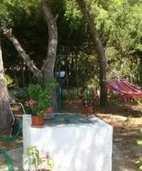 Villetta immersa nel verde a due passi dal mare