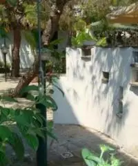 Villetta immersa nel verde a due passi dal mare