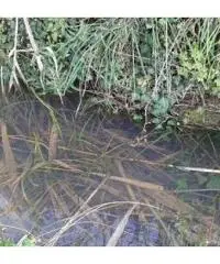 Terreno coltivato Terreno coltivato