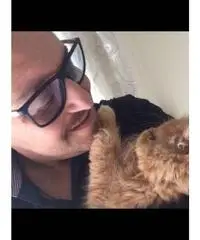 Cerco il vero amore Cerco il vero amore