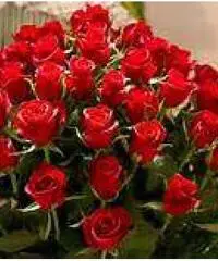 Amore, affetto, lealta' e complicita' Amore, affetto, lealta' e complicita'