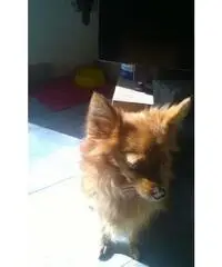 Amicizia seria Amicizia seria