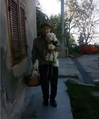 Relazione Relazione