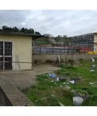 Pianura adiacente pisani Pianura adiacente pisani