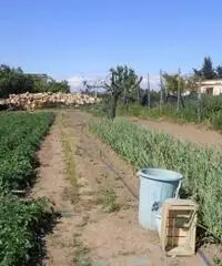 Appartamento in Vendita a Giugliano in Campania