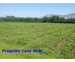 Vendita Agricolo in Via Boscofangone