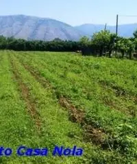Vendita Agricolo in Via Boscofangone