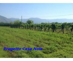 Vendita Agricolo in Via Boscofangone