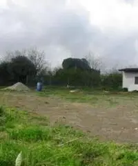 Vendita Agricolo in periferia