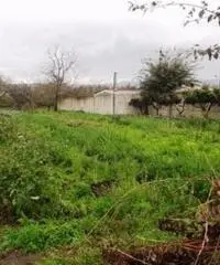 Vendita Agricolo in Strada Provinciale San Vito - Scisciano Vendita Agricolo in Strada Provinciale San Vito - Scisciano