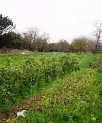 Vendita Agricolo in Strada Provinciale San Vito - Scisciano Vendita Agricolo in Strada Provinciale San Vito - Scisciano