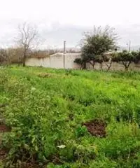 Vendita Agricolo in Strada Provinciale San Vito - Scisciano Vendita Agricolo in Strada Provinciale San Vito - Scisciano