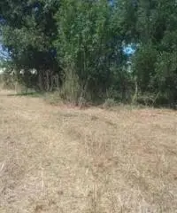 Vendita Agricolo in Via Boscofangone