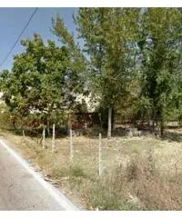 Vendita Agricolo in Via Boscofangone Vendita Agricolo in Via Boscofangone