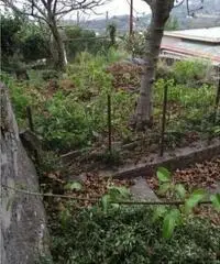 Vendita Multilocale in Via Torricella Vendita Multilocale in Via Torricella